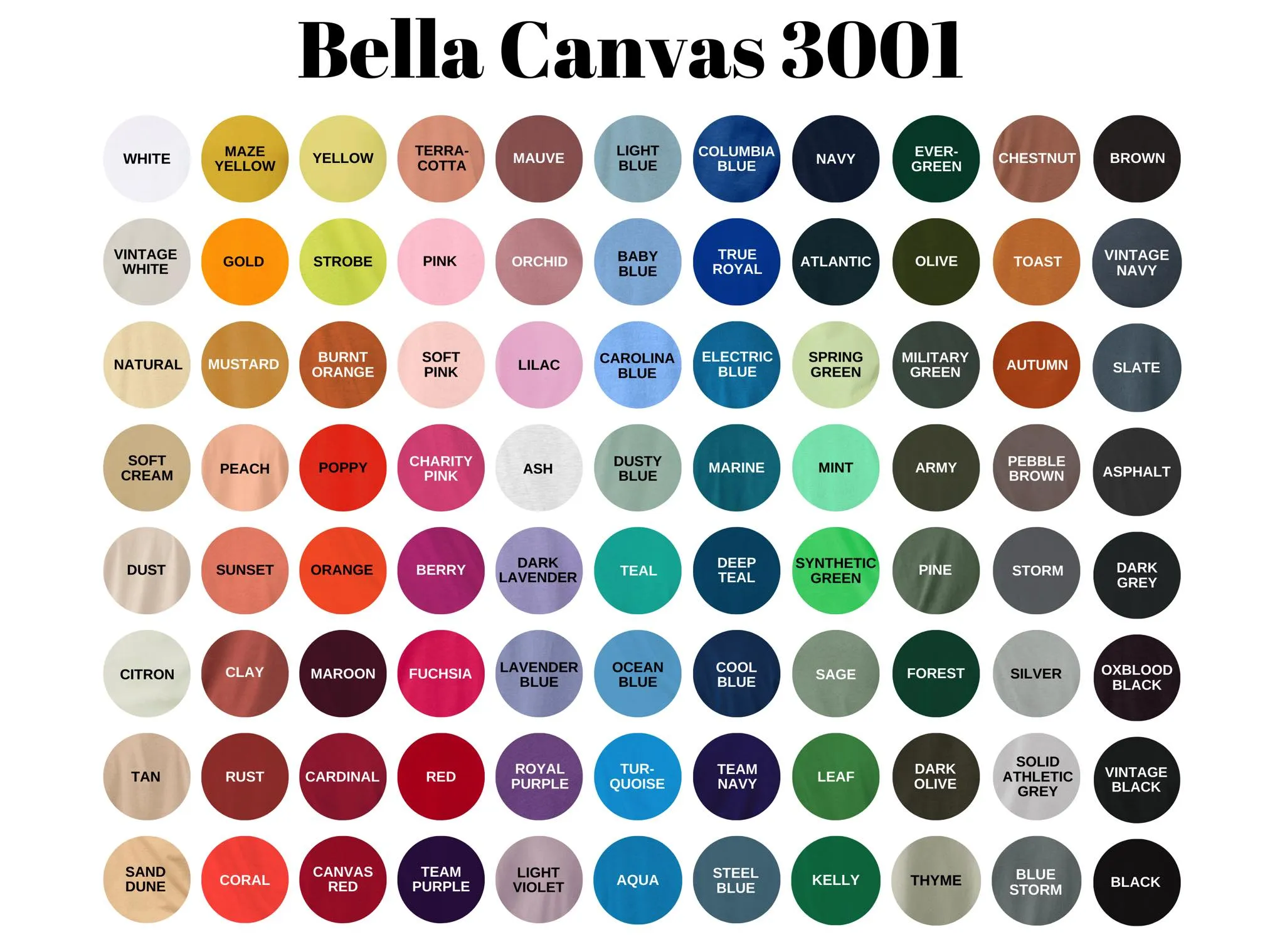 100 Days colorful