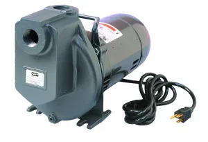 AMT Pump 4292-96 Self-Priming Utility Pump, Aluminum, 1/2 HP, 1 Phase, 115V, Curve C, 1" NPT Female Suction & Discharge Ports