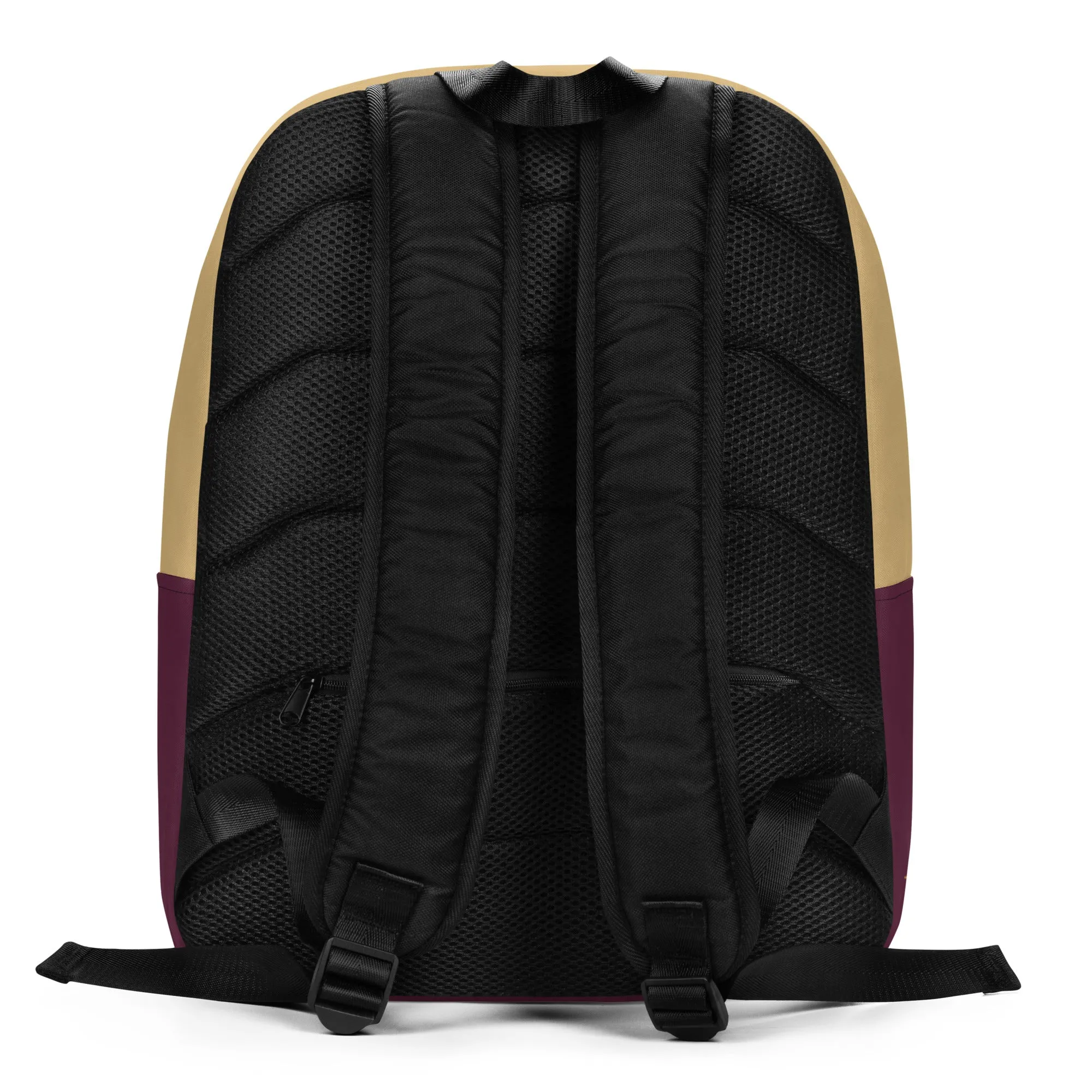 Colorful Chaitanya Abara Backpack