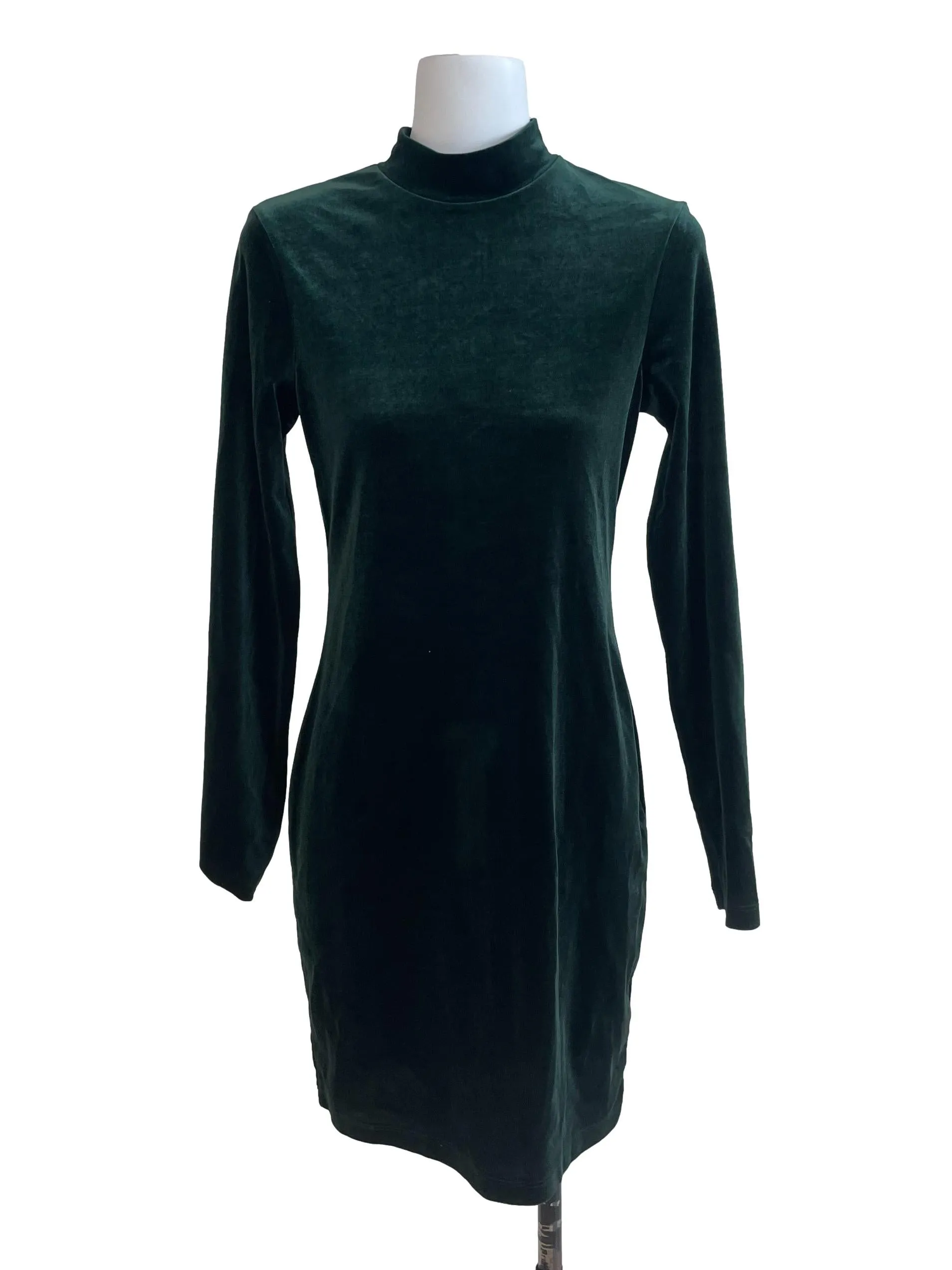 Juniper Green Velvet Turtle Neck Dress