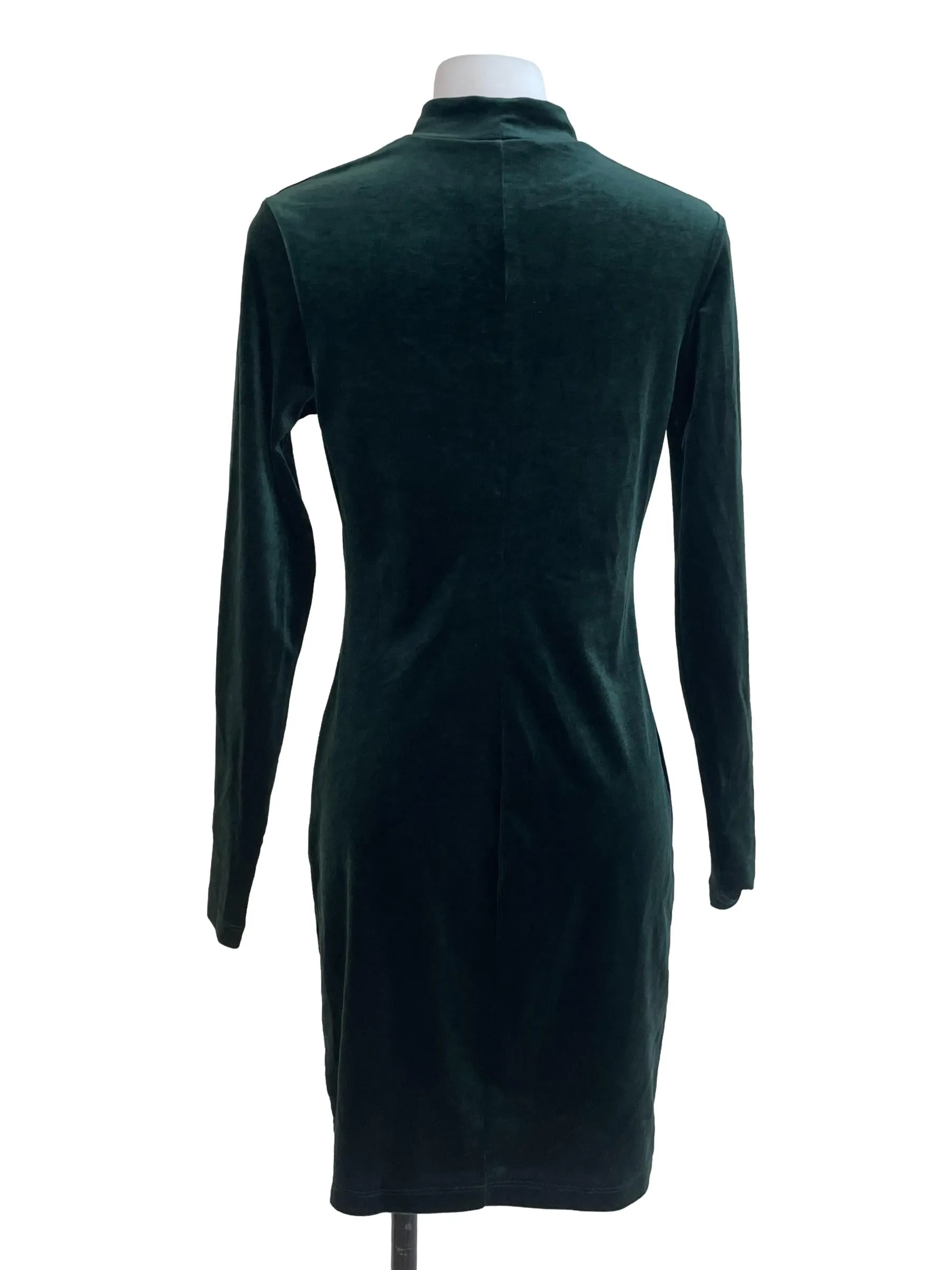 Juniper Green Velvet Turtle Neck Dress