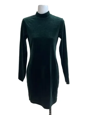 Juniper Green Velvet Turtle Neck Dress