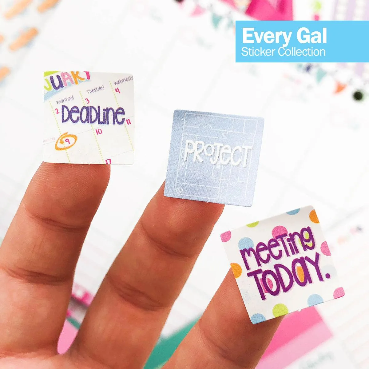 JUST ADDED | ALL the Stickers Bundle | EIGHT Sticker Sets | Includes 3760  Stickers | HOT Deal