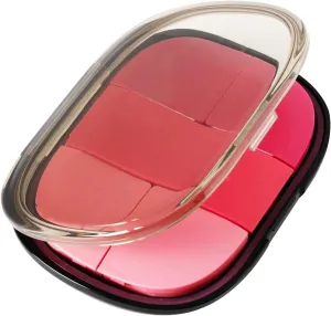 Pill Case Portable, Portable Pocket Pill Box, Independent Chamber Storage Pill Box, Travel Pill Organizer, Easy Carry Moisture Proof Odour Free Medicine Storage Box, 5 Separate Container (Rose)