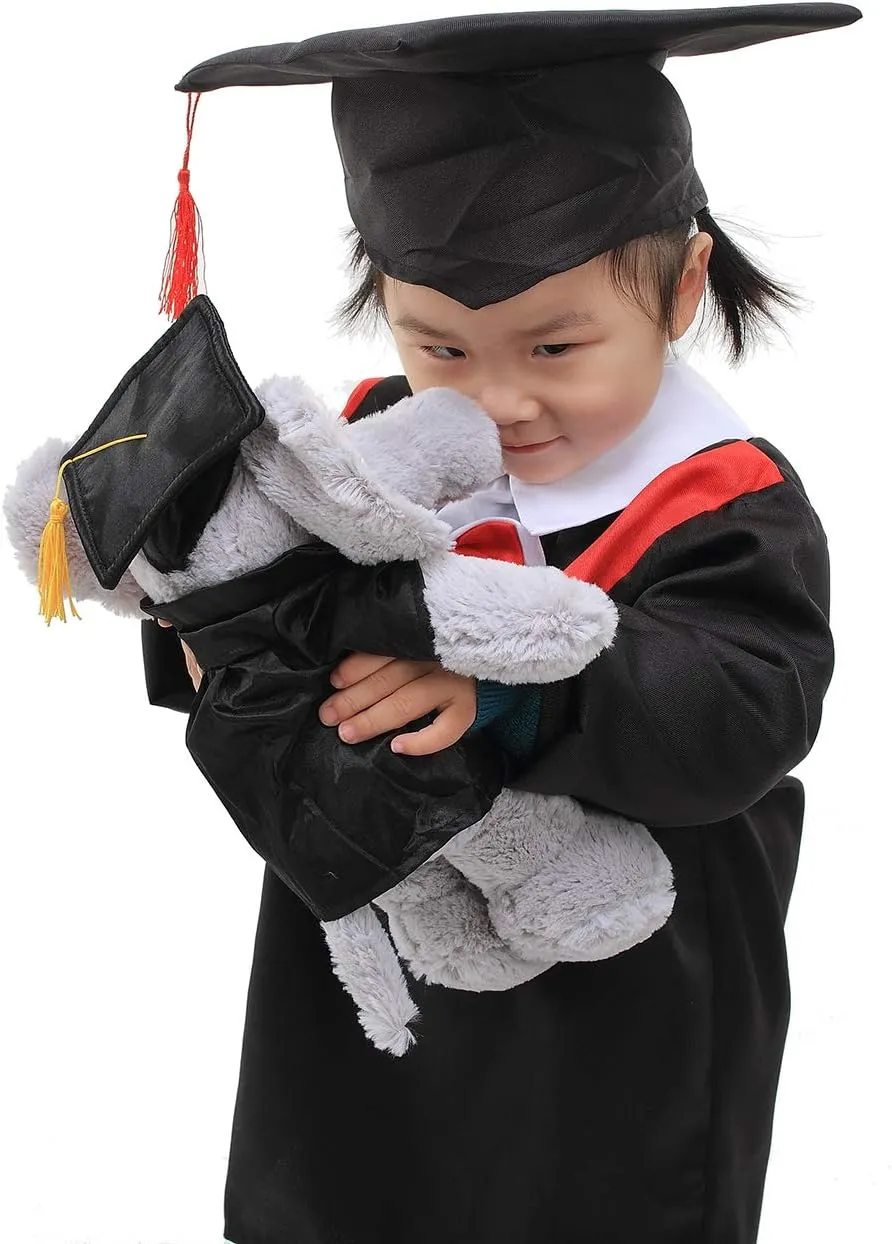 Plushland Lion Plush Stuffed Animal Toys Present Gifts for Graduation Day, Personalized Text, Name or Your School Logo on Gown, Best for Any Grad School Kids 12 Inches(Royal Cap and Gown)