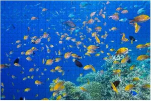 Puzzles 500 Piece Colorful Tropical School Fish Maldives - Relieving Games for Everyone-Perfectly for Home Decor
