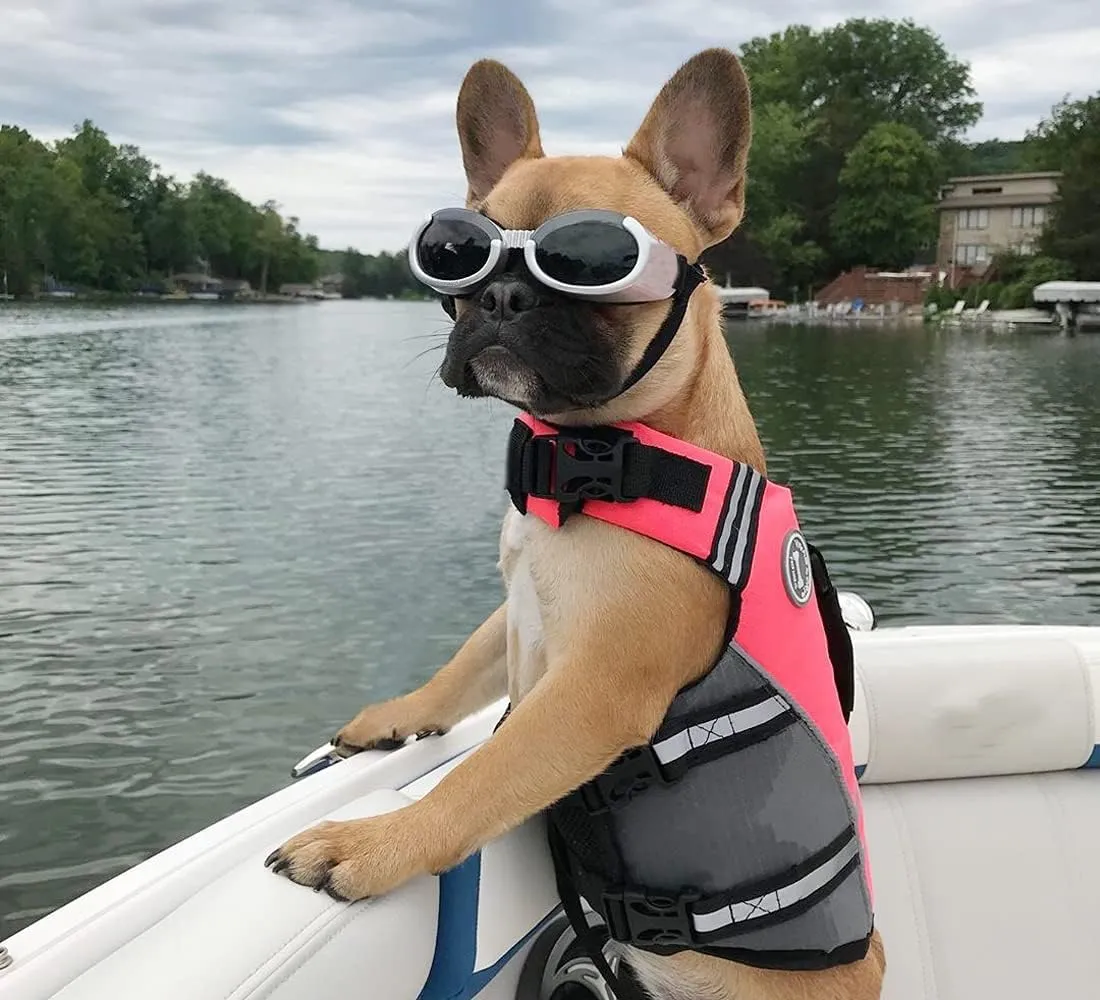 VIVAGLORY Sports Style Dog Life Jacket with Extra Flotation, Adjustable & Durable Swim Life Vest with Secure Fastening System for Medium Dogs, Bright Pink