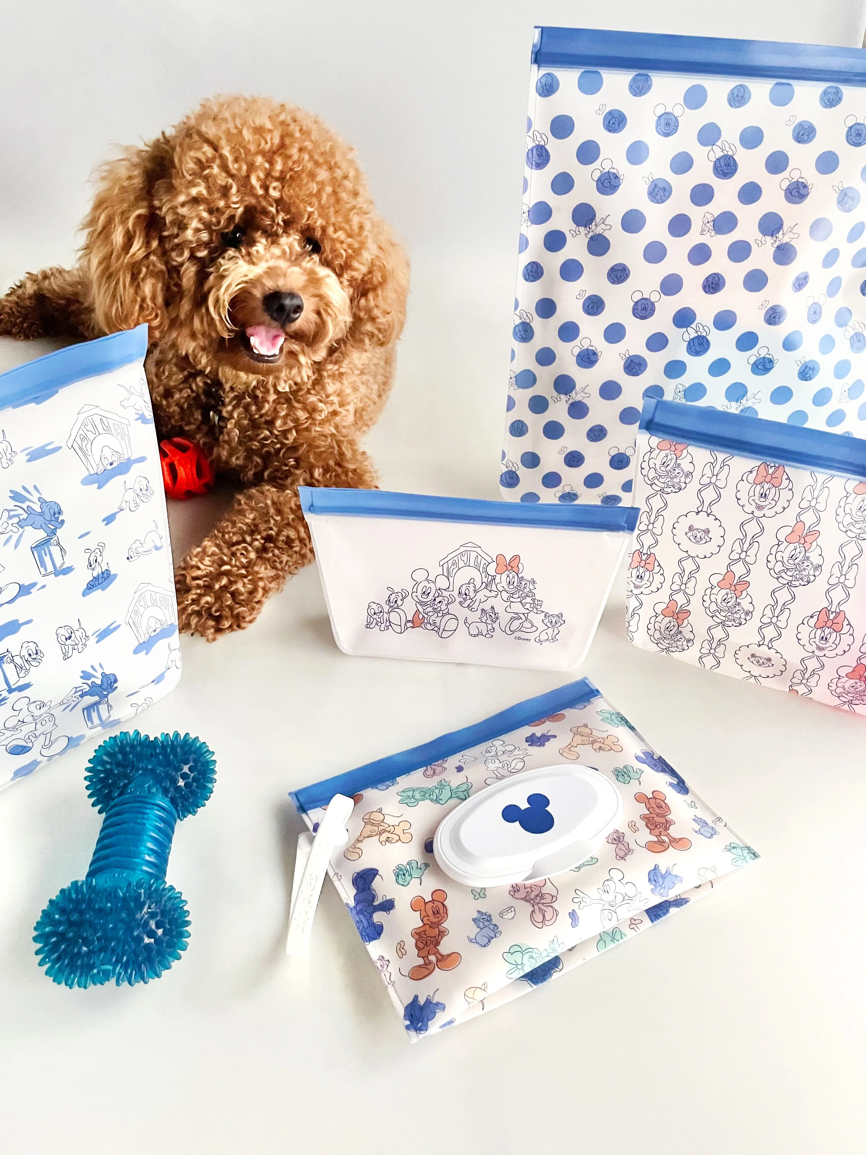 Zippies Lab Disney Puppies & Kittens 5-pc Bag Organizer Set